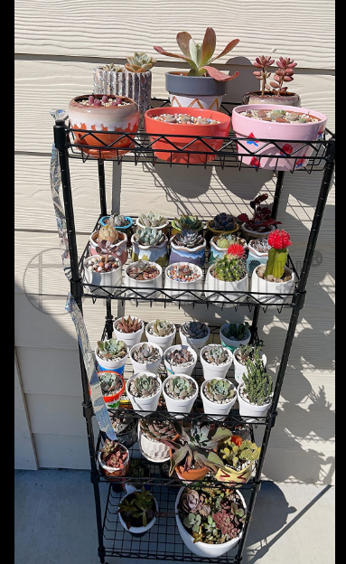 東南亞噴粉五層方塊網籃置物架成功案例分享-川井