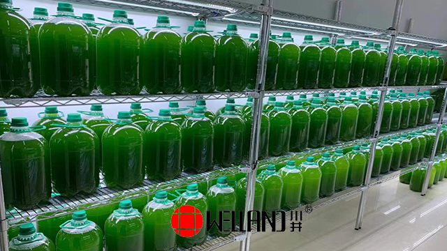 川井牌實驗室植物組培架，生物養殖架，小蝌蚪養育貨架——助力科研，提升孵化率！-中山常勝-WELLAND川井