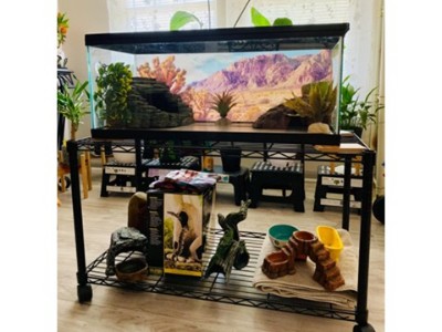 美國兩層噴粉可移動魚缸造景架 生態系統景觀置物架成功案例分享