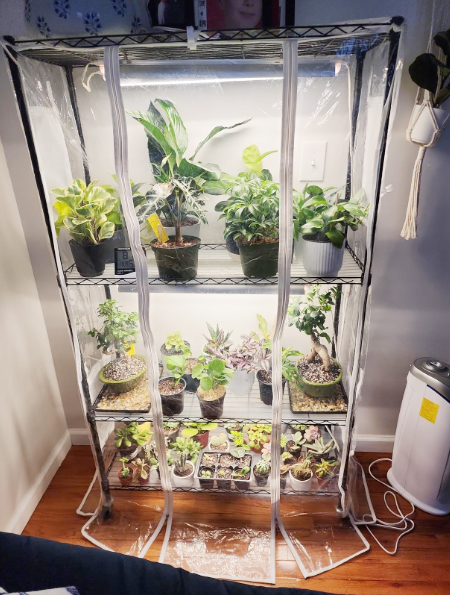 四層室內置物培育架成功案例分享