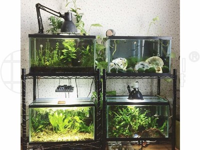 魚缸展示架子魚缸儲物架觀光線網架子